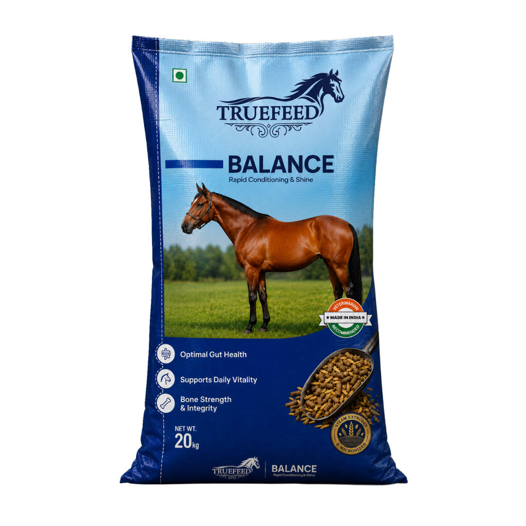 TrueFeed-Balance Horse Food